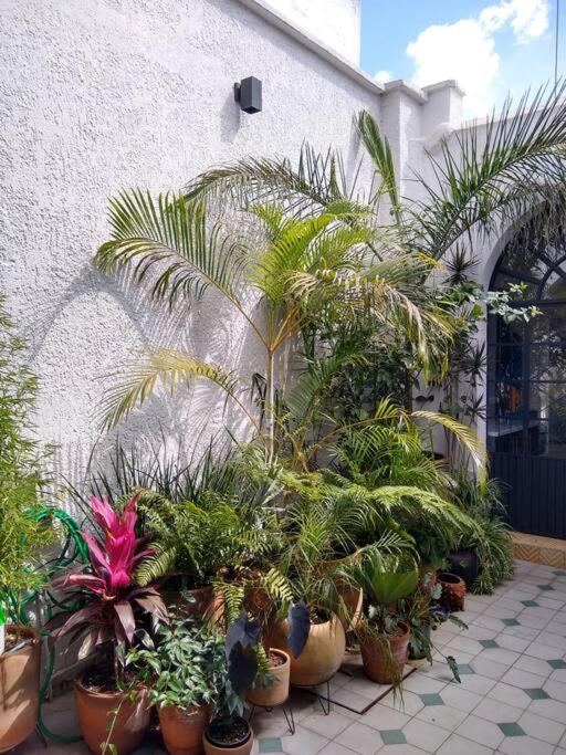 Villa Casa Cuauhtemoc à Guadalajara Extérieur photo