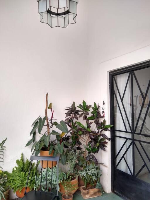 Villa Casa Cuauhtemoc à Guadalajara Extérieur photo